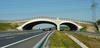 Bild_Beschichtungssysteme-Holzindustrie_Thyrow-Wildbrücke_02_c-DEGES_1140x465.jpg