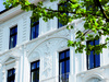 Facade with branches Facade with branches